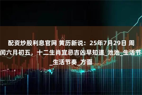 配资炒股利息官网 黄历新说：25年7月29日 周二 农历闰六月初五，十二生肖宜忌吉凶早知道_池池_生活节奏_方面