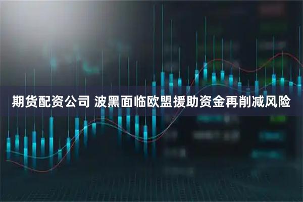 期货配资公司 波黑面临欧盟援助资金再削减风险