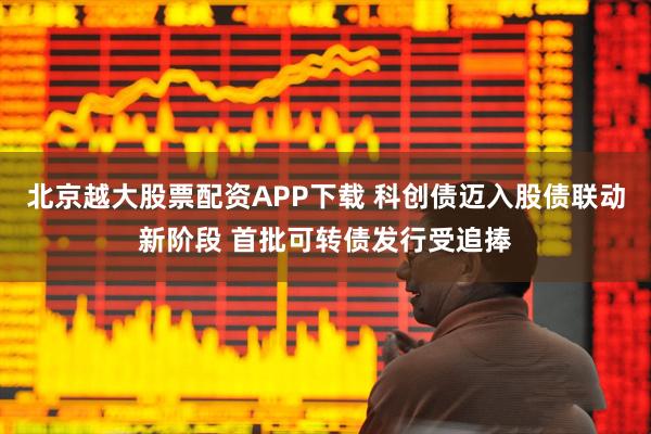 北京越大股票配资APP下载 科创债迈入股债联动新阶段 首批可转债发行受追捧